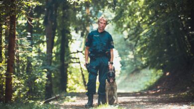 © LPD Stmk, Martinelli Polizeidiensthundeführer mit seinem Diensthund „Carlos“