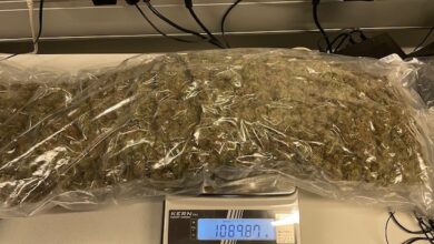 Sichergestelltes Marihuana © LPD Stmk