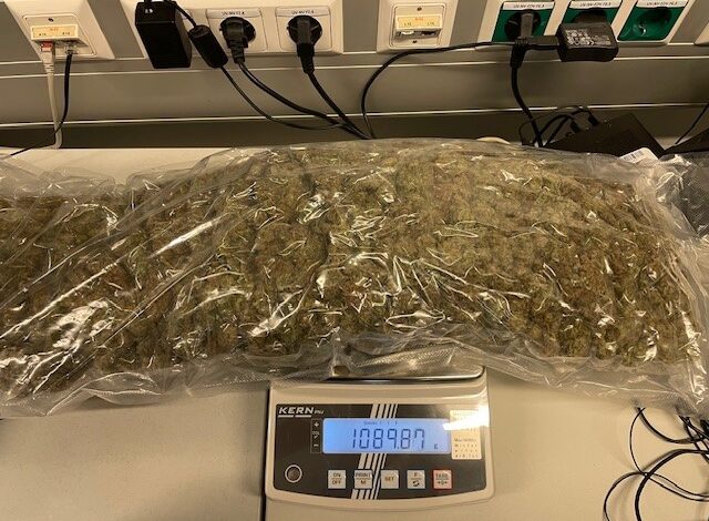 Sichergestelltes Marihuana © LPD Stmk